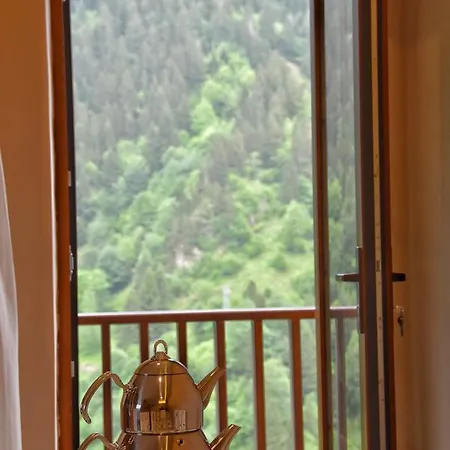 Apart Otel Badul Uzungöl